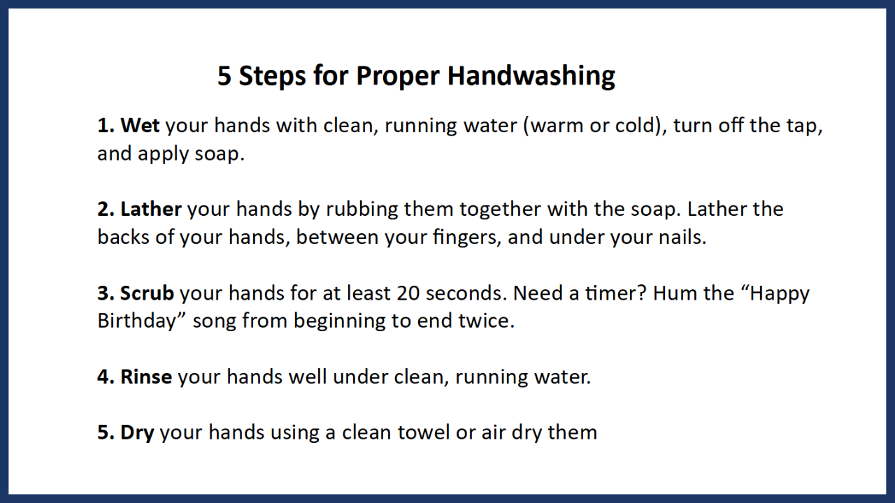 persuasive speech on handwashing